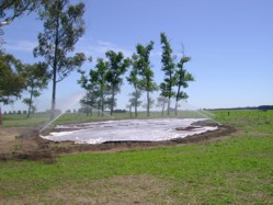 la criolla